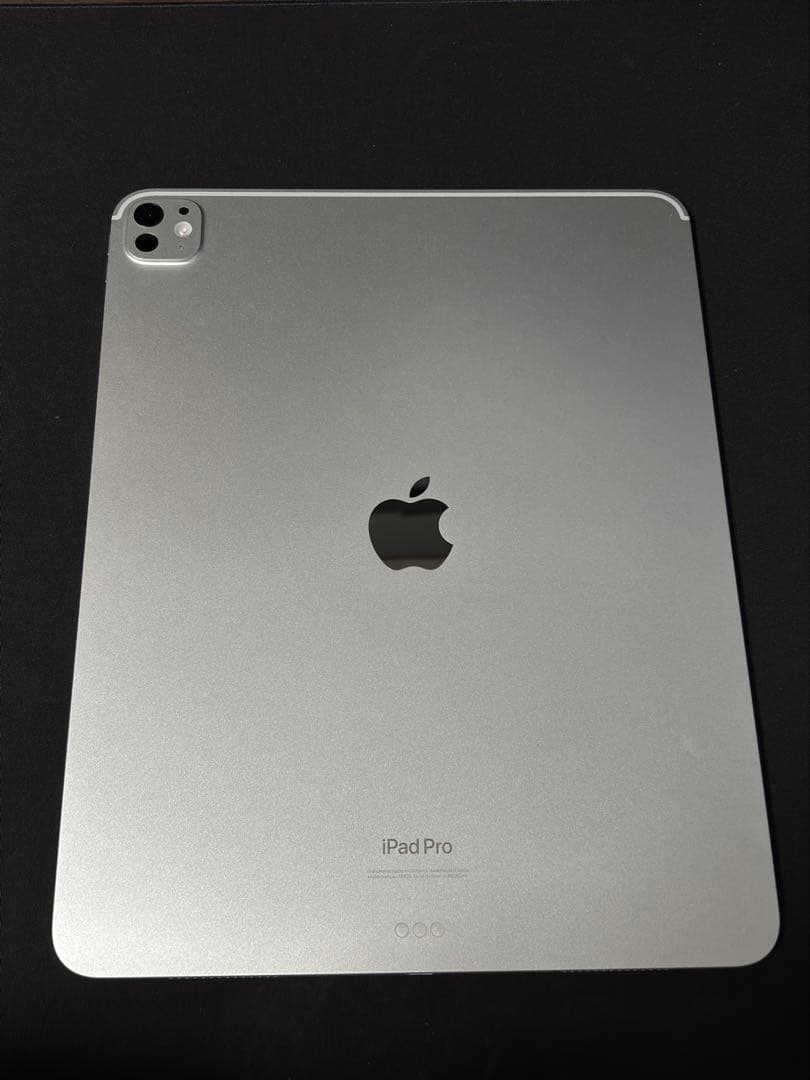 iPad Pro13インチ M4 1TB WIFIシルバー 本体のみ