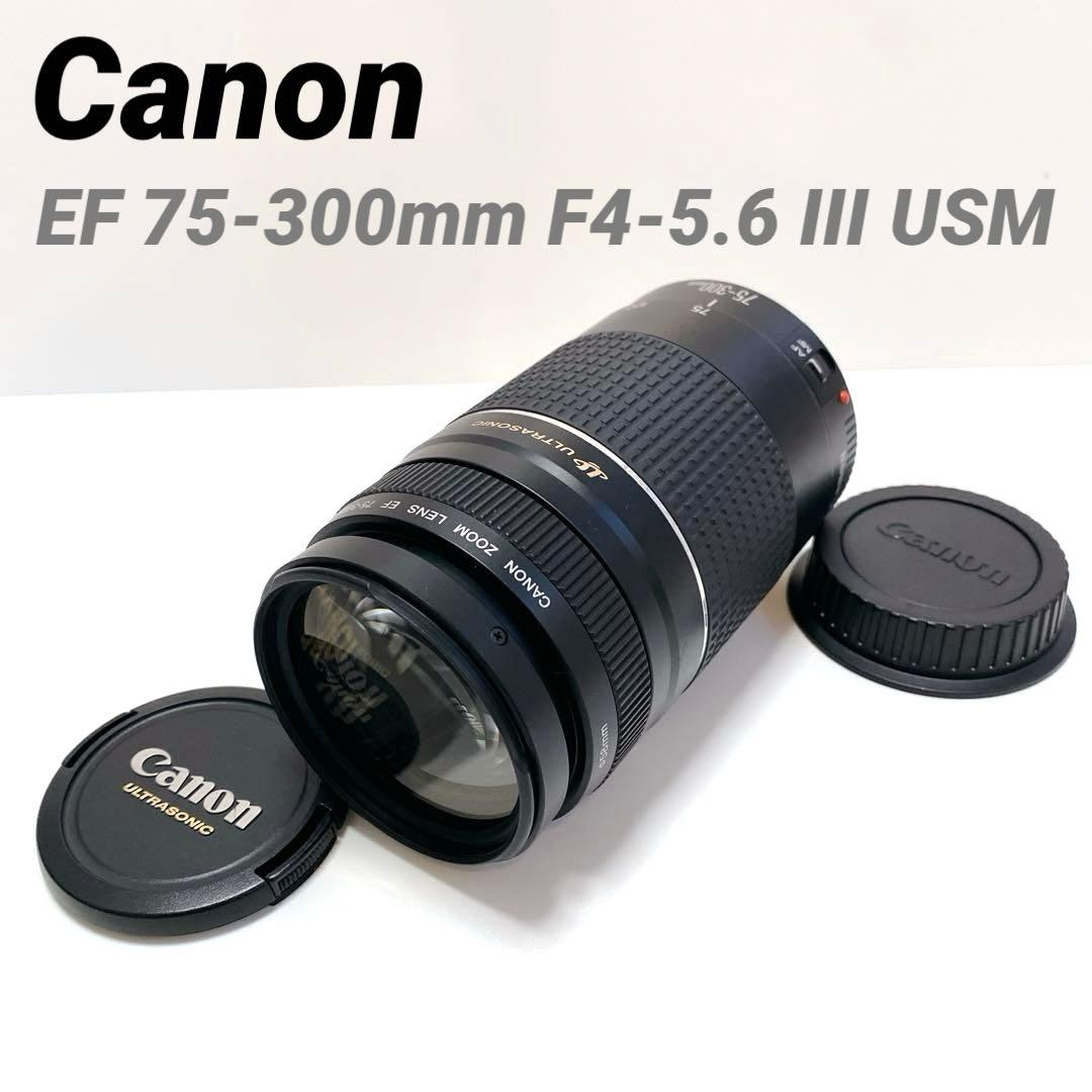 Canon AFレンズ EF 75-300mm F4-5.6 III USM
