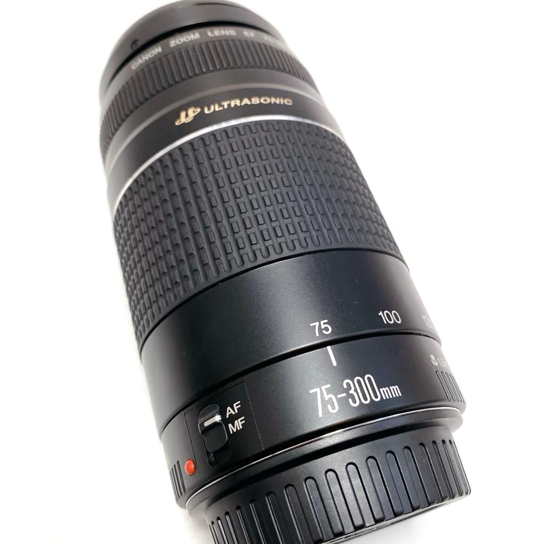 Canon AFレンズ EF 75-300mm F4-5.6 III USM