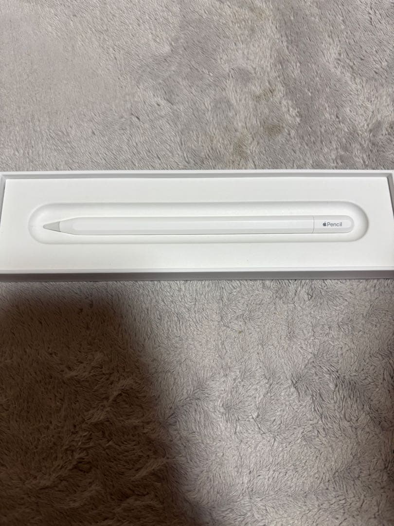 Apple pencil (USB-C) 正規品