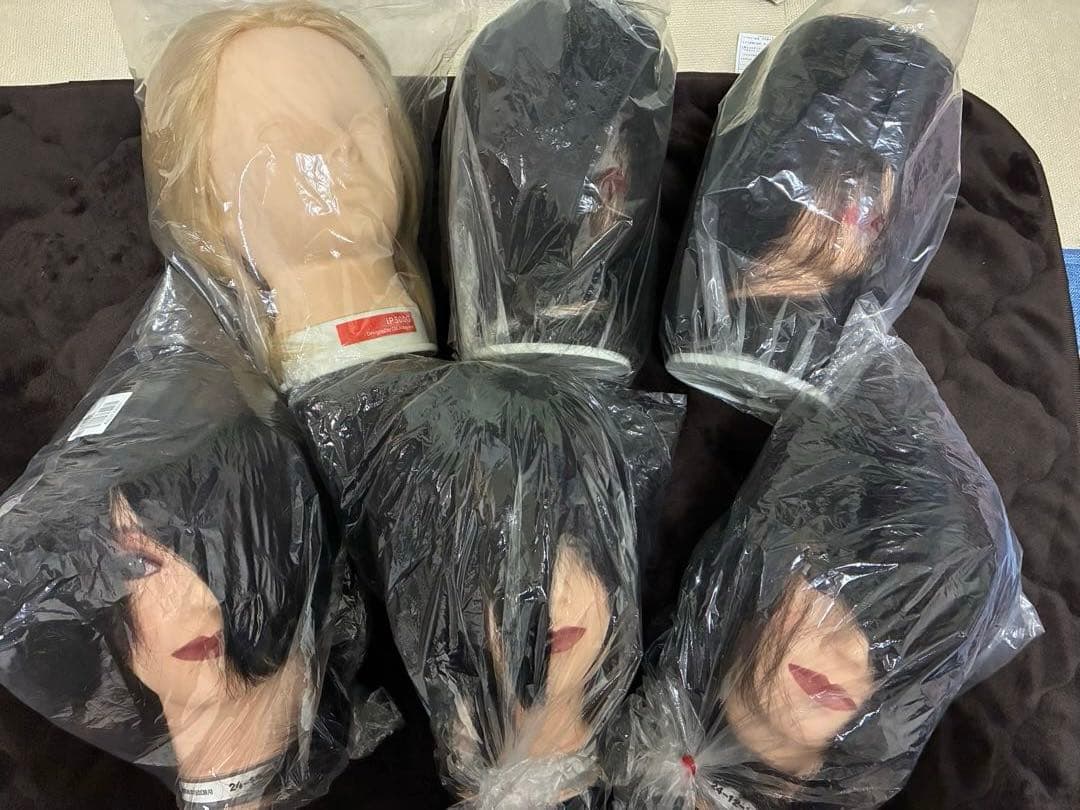 新品未使用！ 国家試験用カットウィッグ　6体