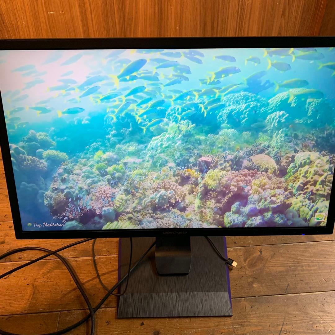 IODATA GigaCrysta EX-LDGC242HTB 23.6インチ