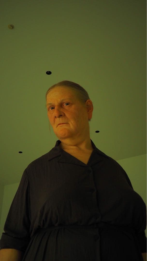 OLYMPUS OM-D E-M10 Mark3＋レンズキット＋社外製バッテリー