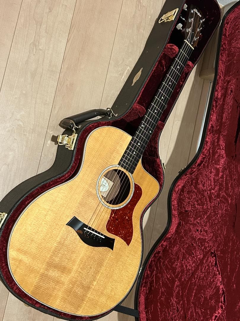 Taylor 214ce DLX ES2 ハードケース アコースティックギター