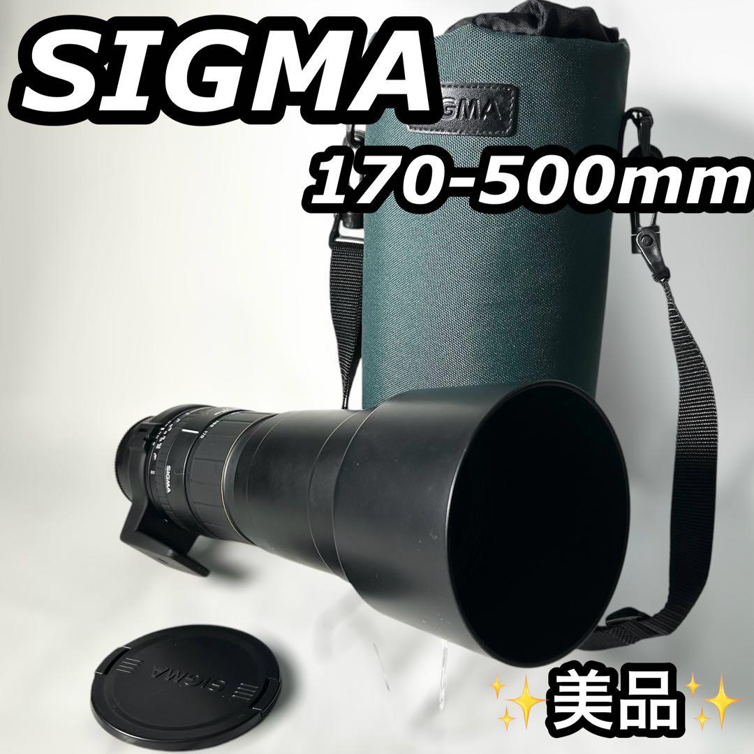 超望遠の世界へ！SIGMA APO 170-500mm F5-6.3 SONY用