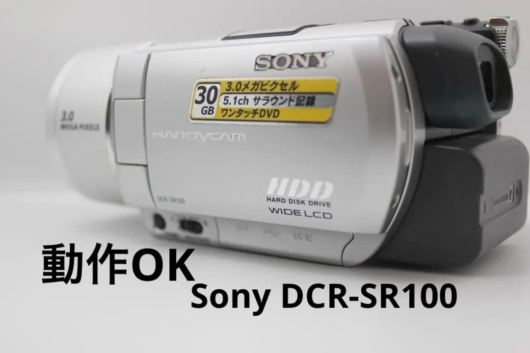 （動作OK）Sony DCR-SR100