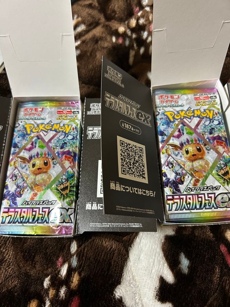 テラスタルフェスEX 2BOX