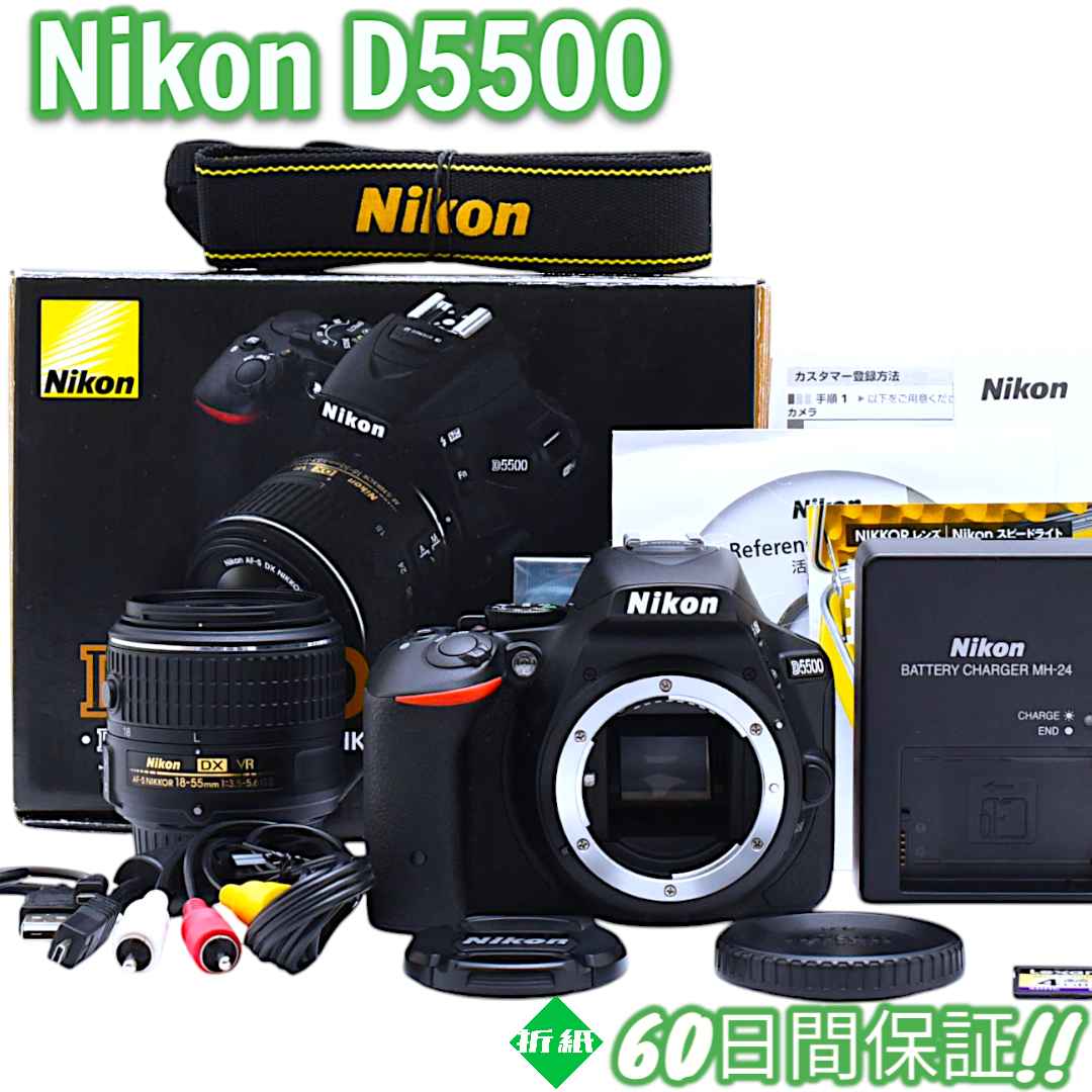3136ショット Nikon D5500 Wi-Fi レンズセット #8290
