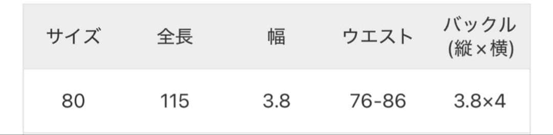 PUNTOVITA/CONCHOベルト（SUEDE）80