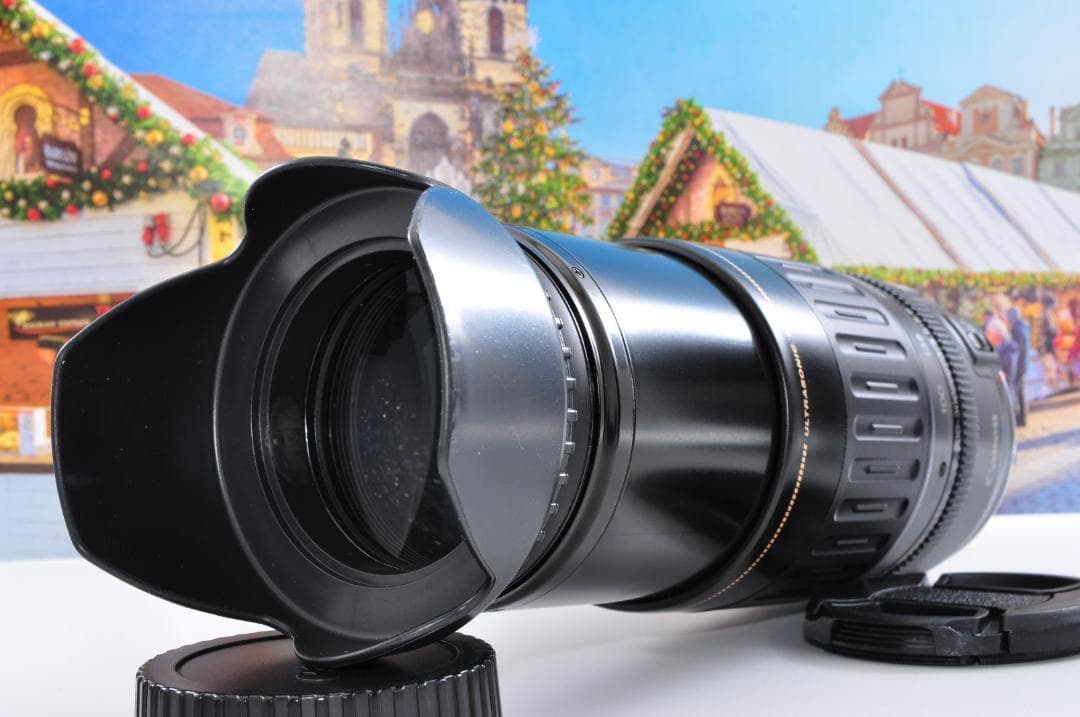 瞬間激写！永久保存 Canon キヤノン 望遠レンズEF100-300mm#③