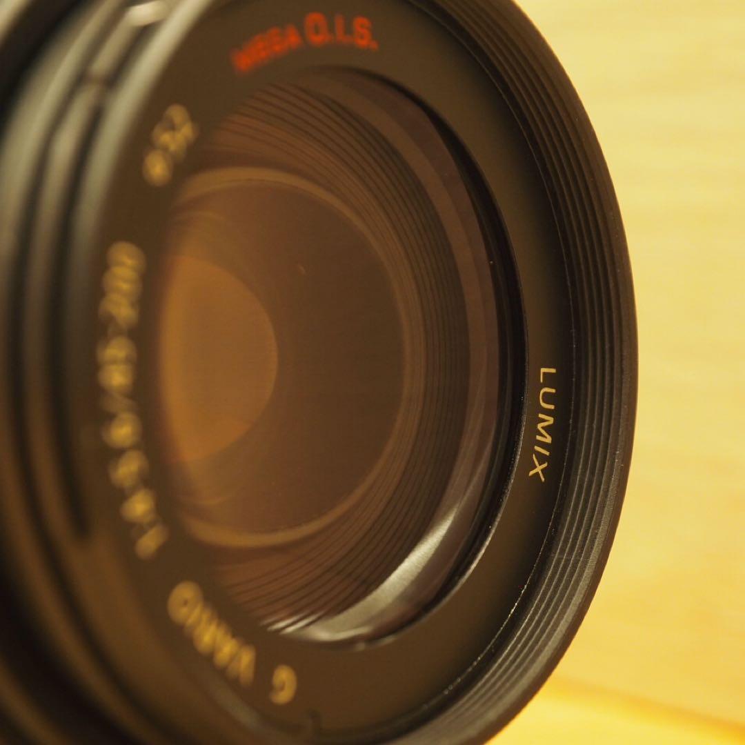 LUMIX G VARIO 45-200mm★H-FS045200★パナソニック
