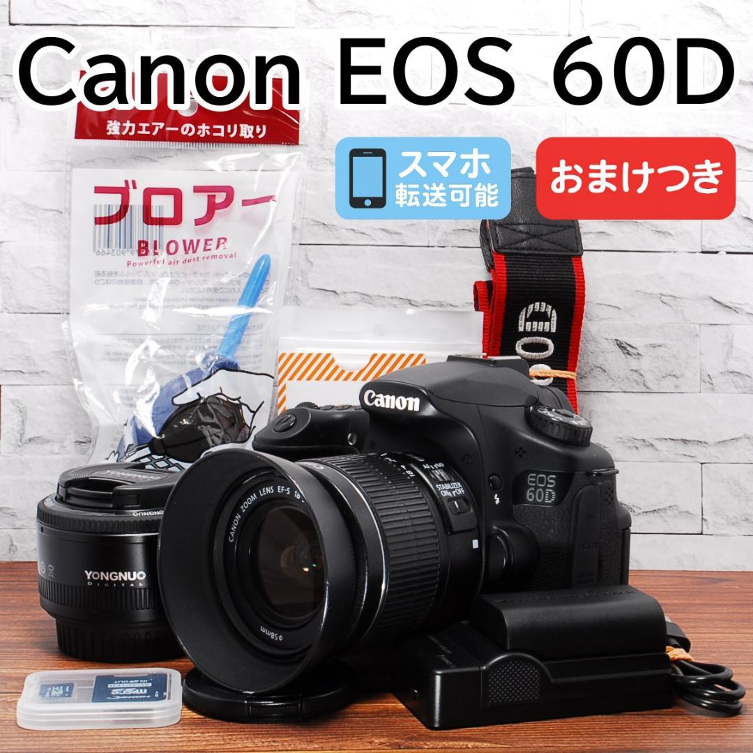 Canon EOS 60D レンズ2本セット✨単焦点レンズつき ショット数少✨