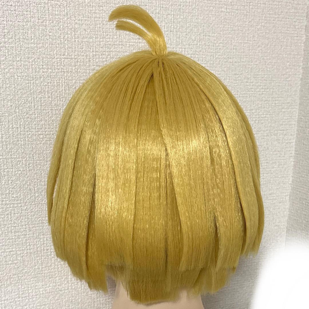 地獄楽 コスプレ ウィッグ 山田浅ェ門付知