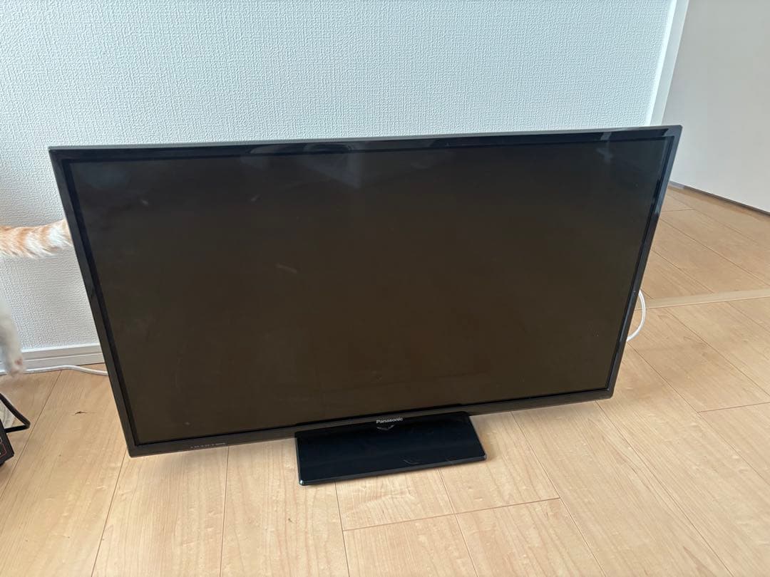 【いちご大福】テレビ+付属品