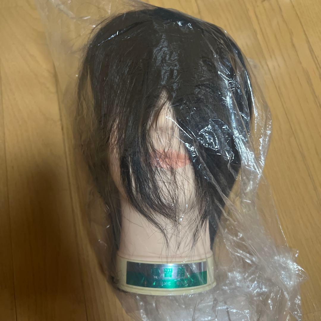 国家試験練習用カットウィッグ　新品