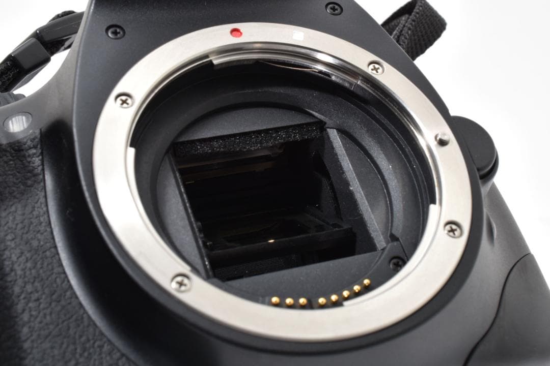 ★超美品★キャノン Canon EOS Kiss X4 ボディ #21478