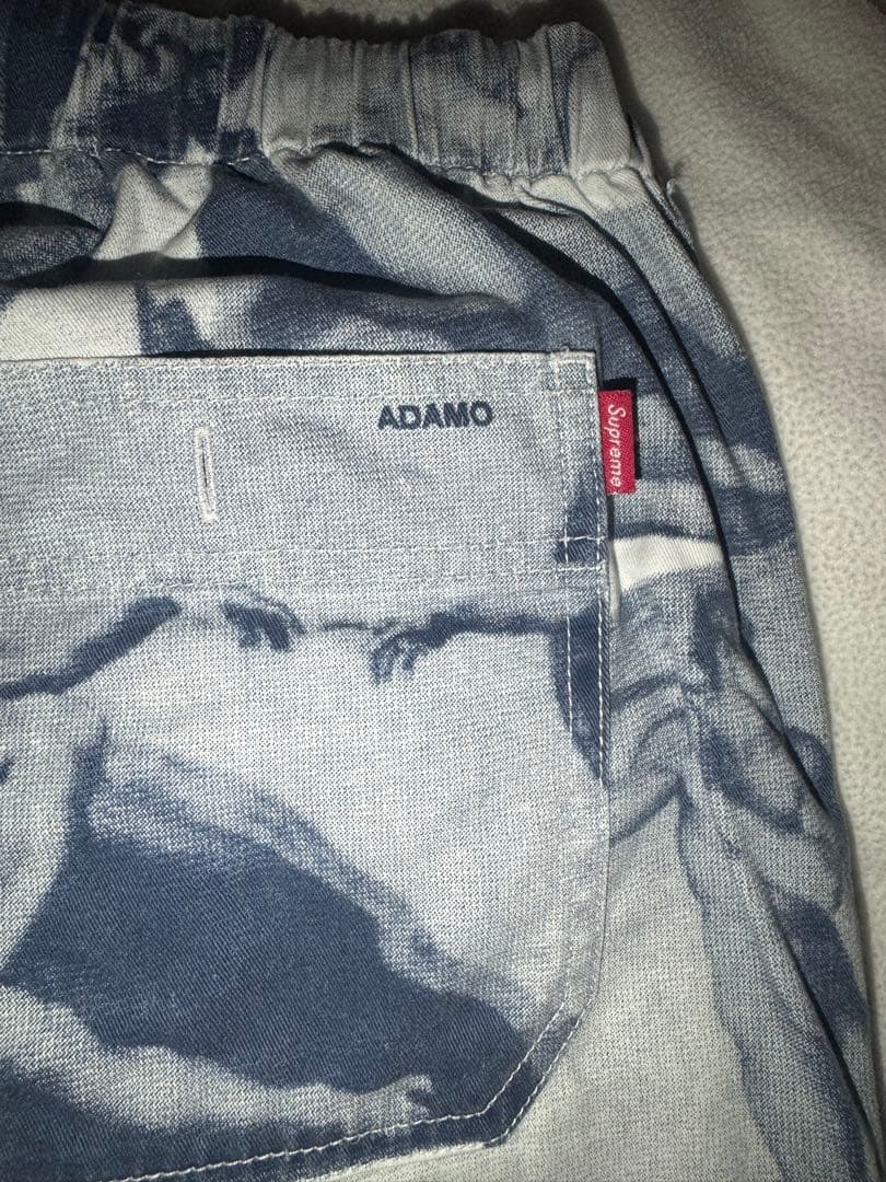 Supreme ミケランジェロ 17AW pants