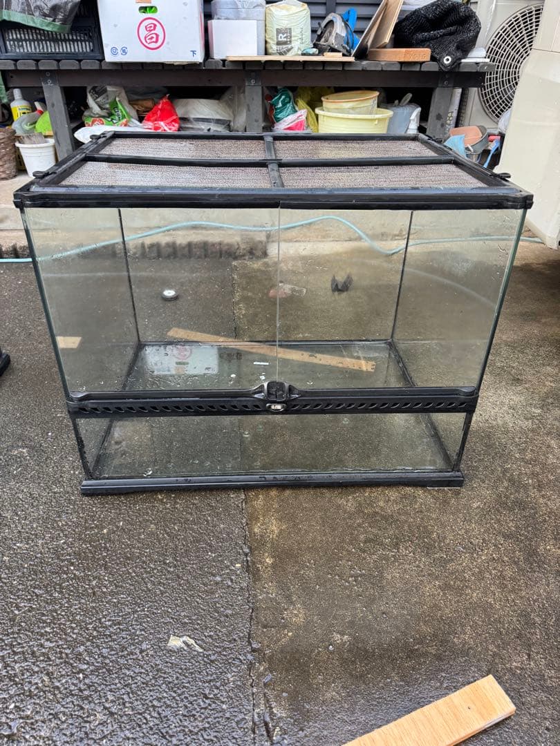 グラステラリウム　6045