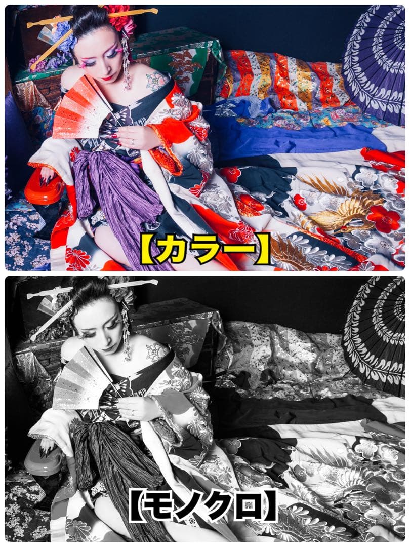 安全窓ISUZUファイブスター、ギガ『花魁』パネル★光を通すタイプあります★