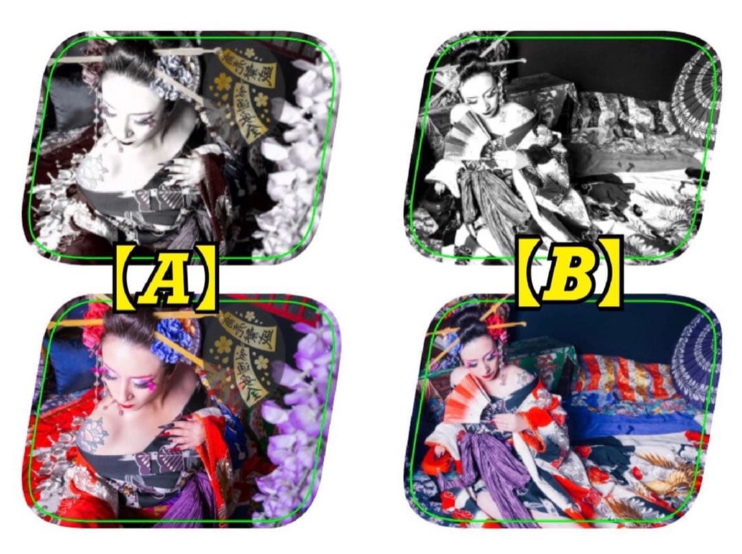 安全窓ISUZUファイブスター、ギガ『花魁』パネル★光を通すタイプあります★