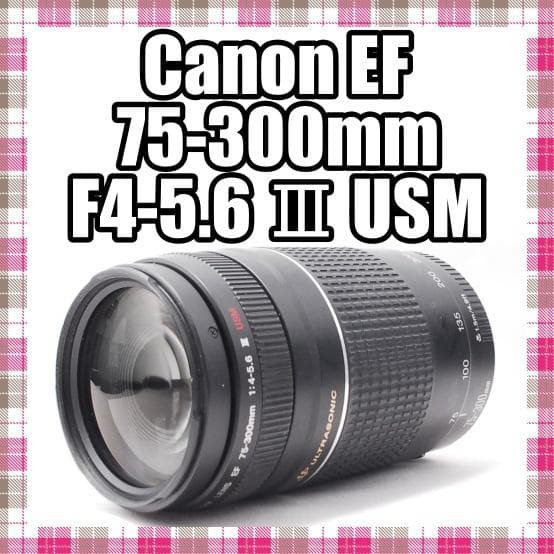 ✨定番の望遠レンズ✨Canon EF 75-300mm F4-5.6 Ⅲ USM