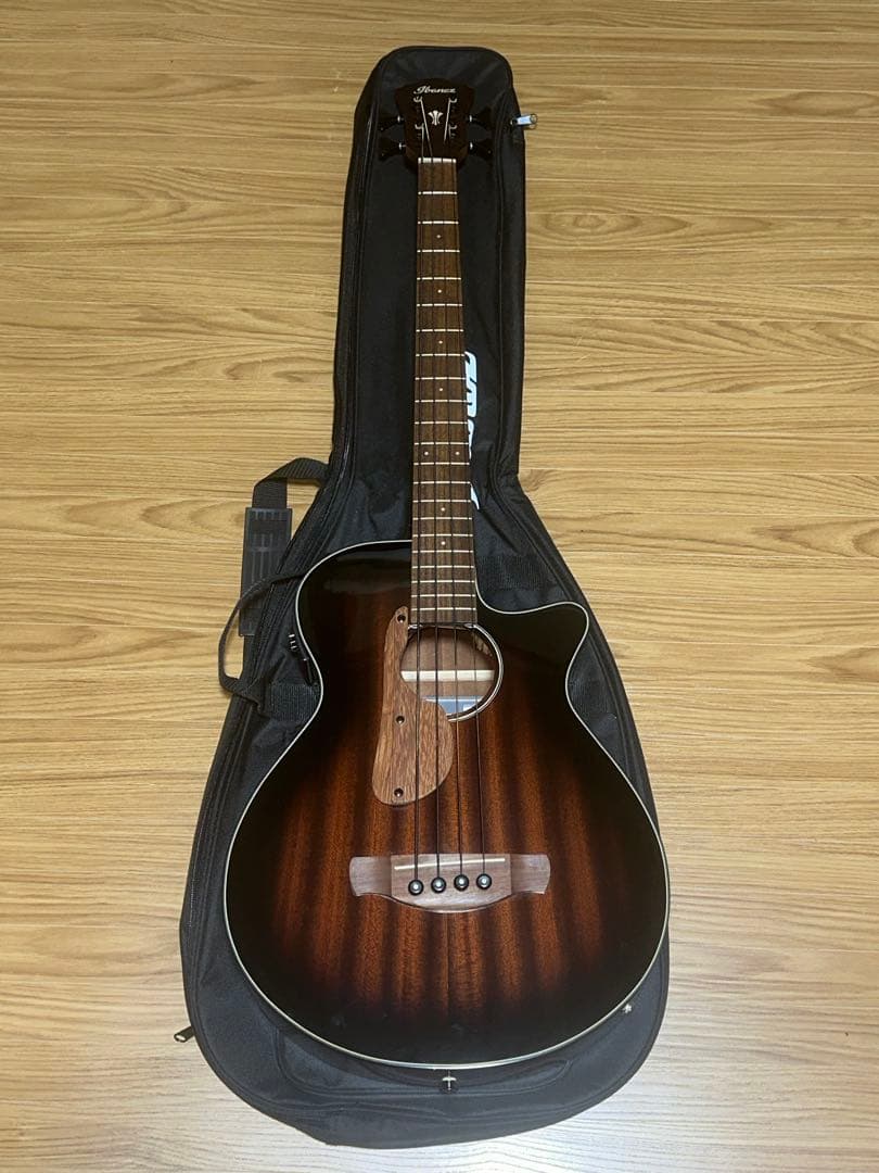 Ibanez AEGB24E-MHS (必ず商品の説明をご覧ください！)