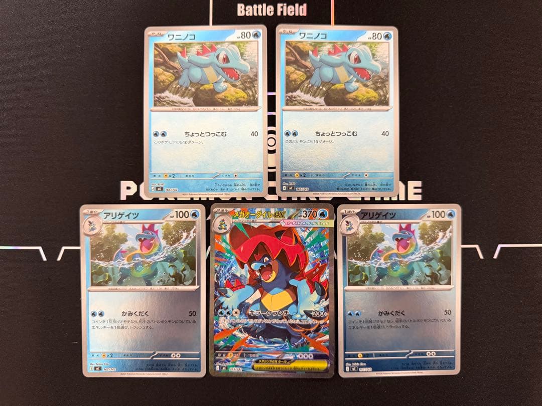 【ポケカ】メガオーダイルex SAR仕様 進化ラインセット MC 763/742