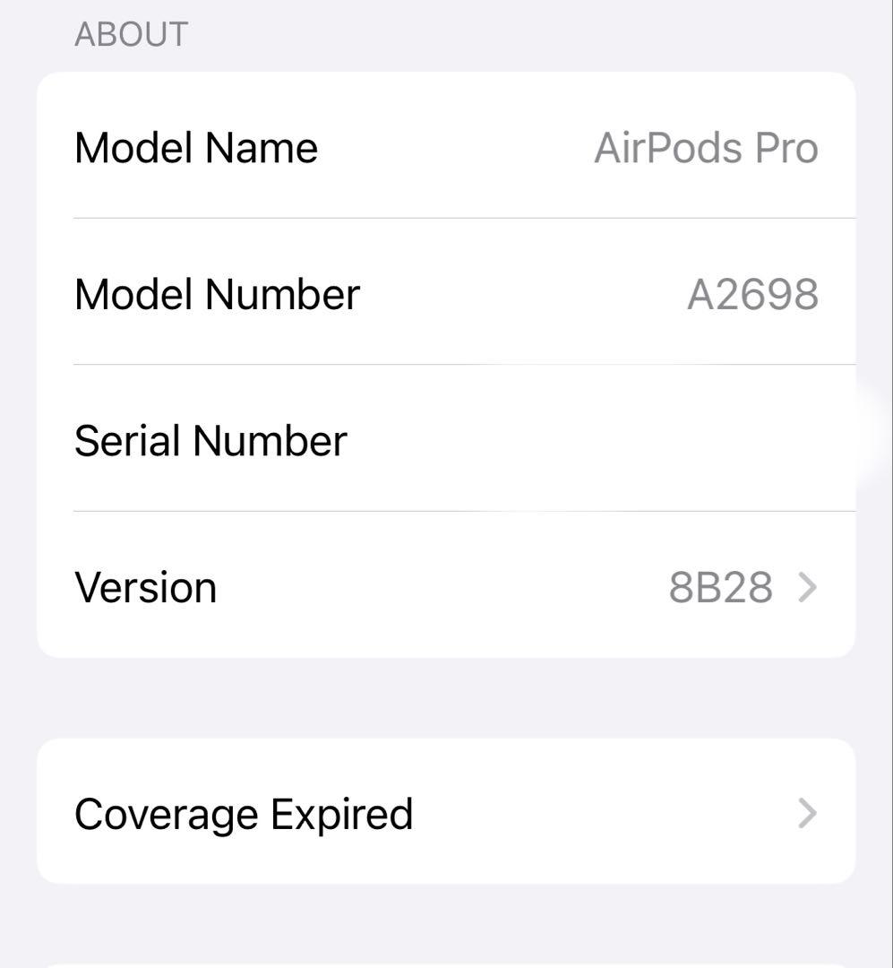 Apple AirPods Pro 第2世代・Lightning端子