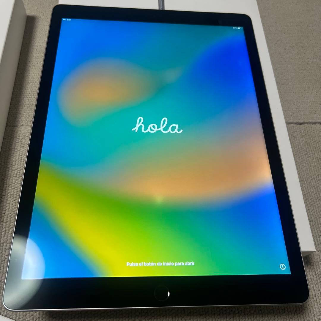 iPad Pro 12.9インチ ジャンク