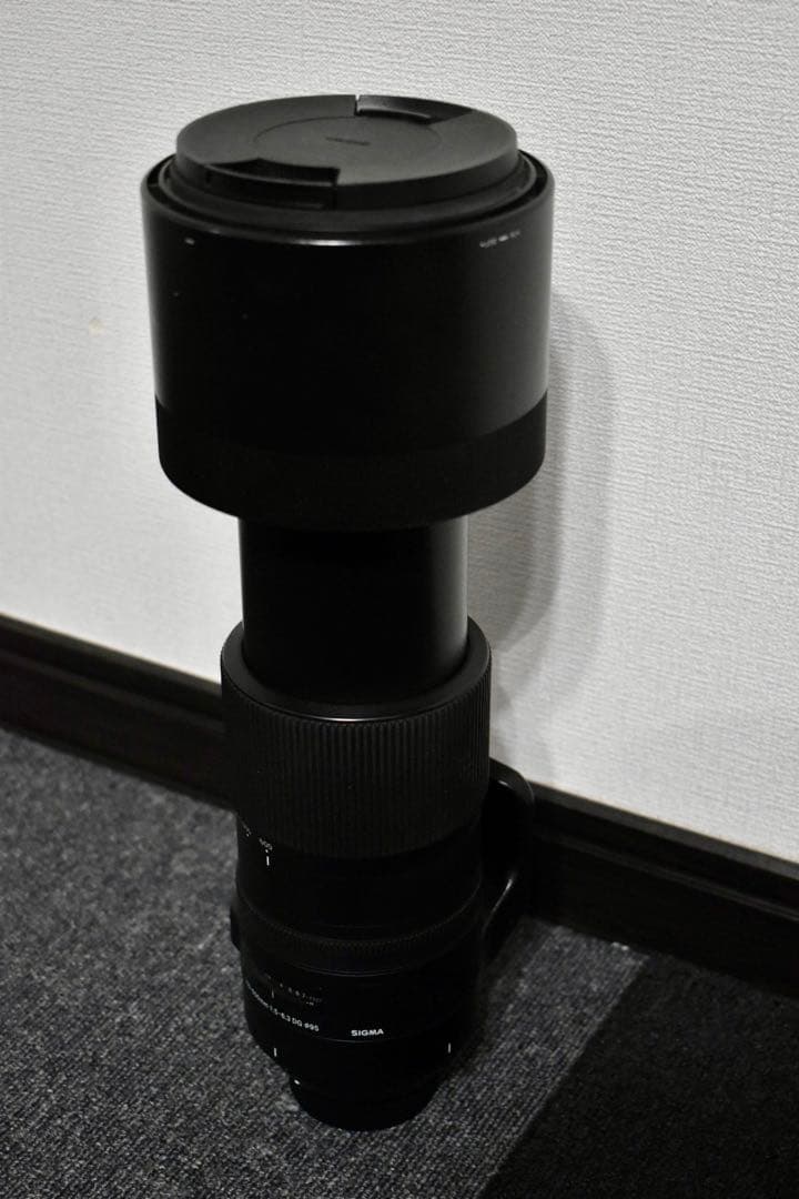 SIGMA 150-600mm F5-6.3 Nikon F-FXマウント