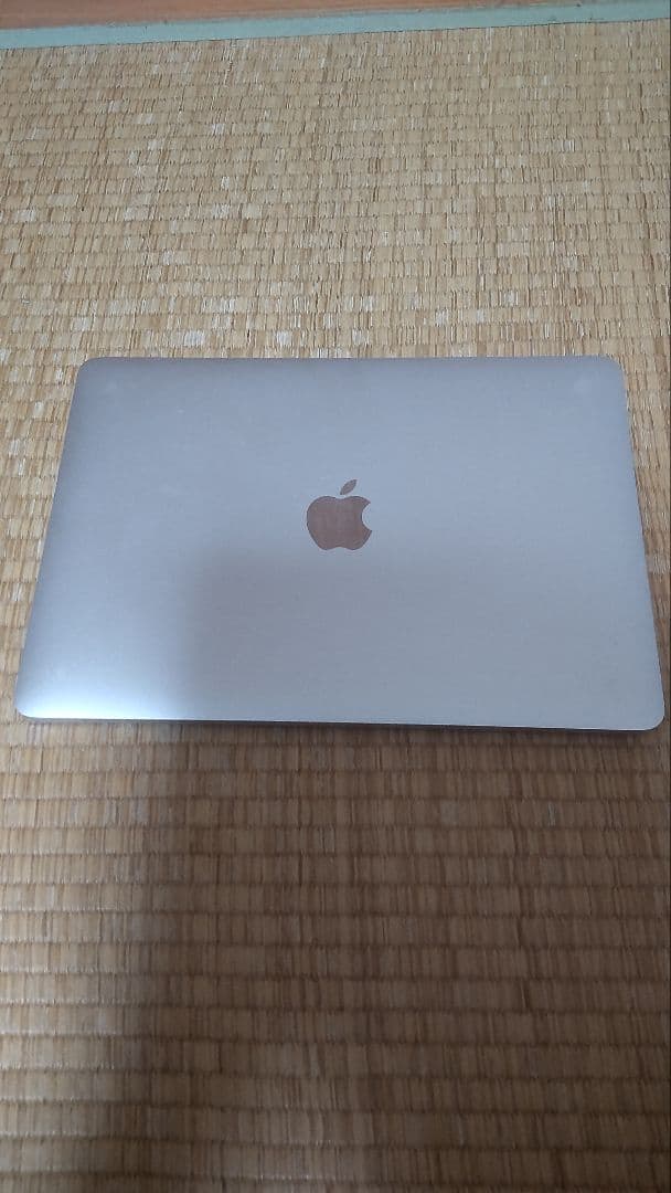 MacBook本体 Macbook 2017 A1534