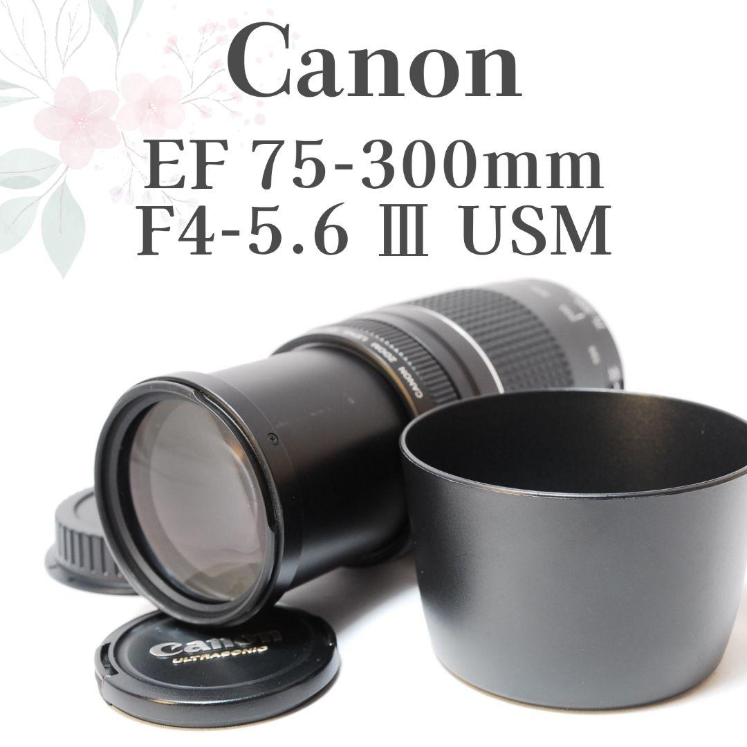 超美品✨超望遠✨Canon EF 75-300mm F4-5.6 Ⅲ USM