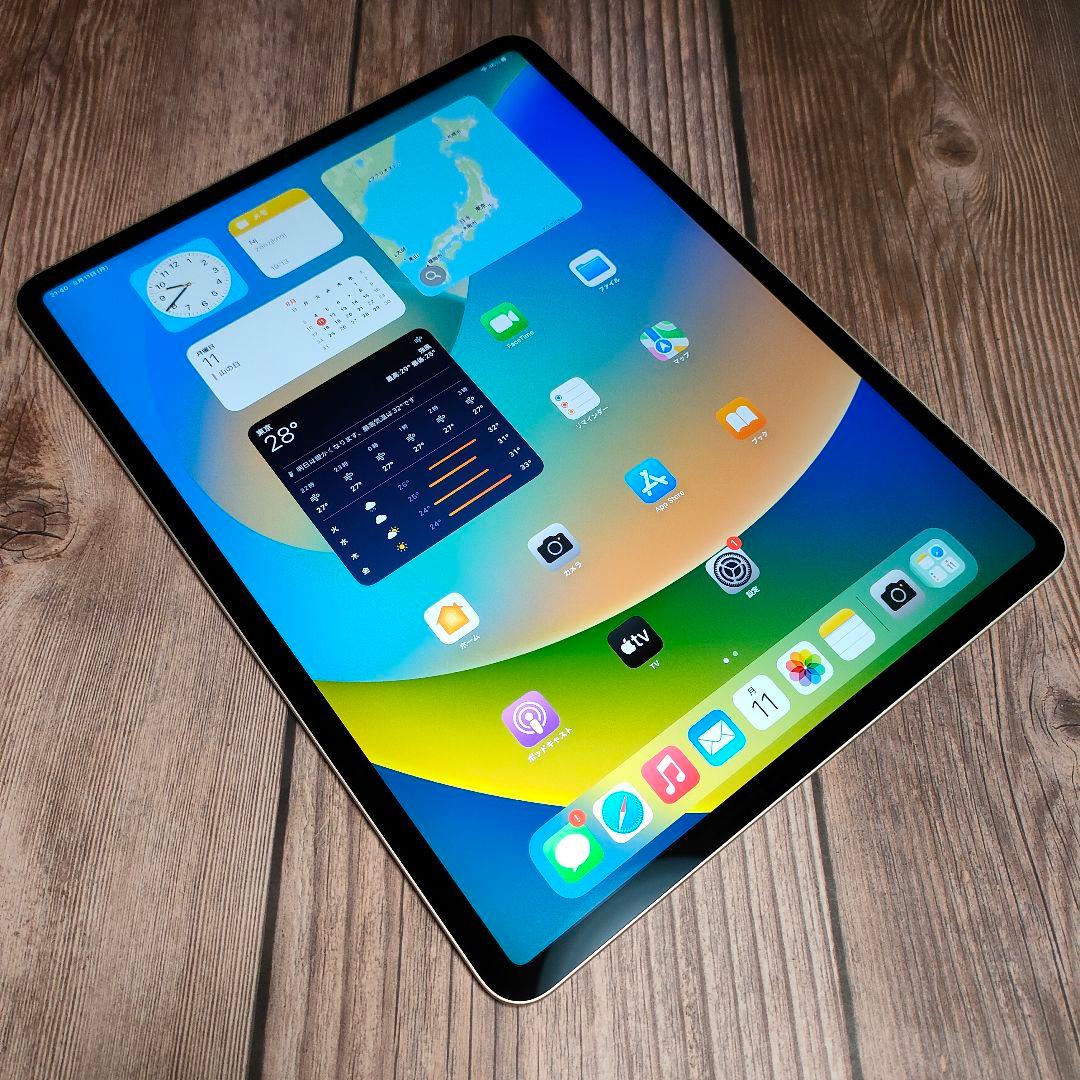 iPad Pro 12.9インチ 第4世代 512GB 極美品