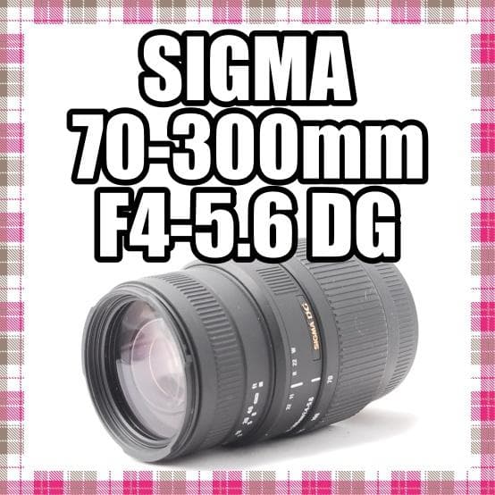 ✨超絶美品✨SIGMA 70-300mm F4-5.6 DG Canonマウント