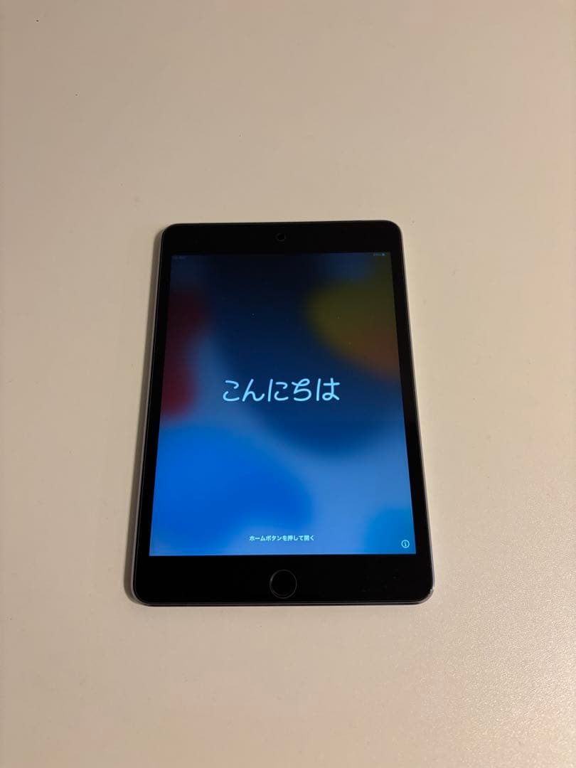 【極美品】iPad mini 4 セルラータイプ　スペースグレー カバー付き