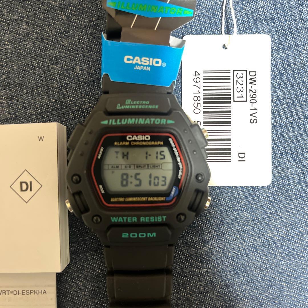 CASIO DW-290-1（説明書付き）