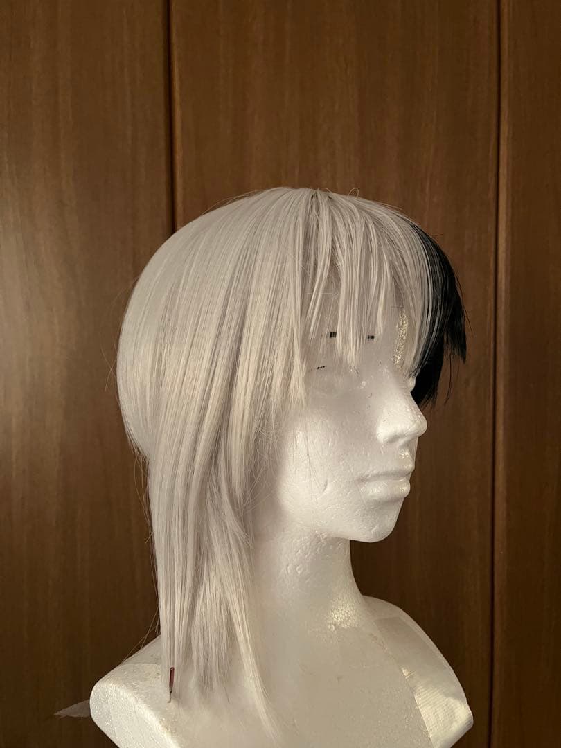 dcst あさぎりゲン(ウィッグ＋衣装L)