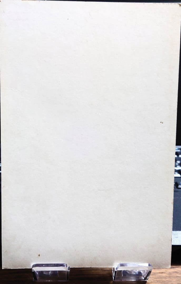 バンダイ カードダス 新SDガンダム外伝 黄金神話 完結編 閃光の黄金神 台紙