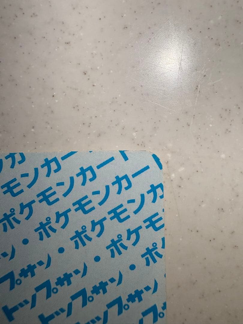 リザードン トレーディングカード 1995年(最終大幅値下げ)