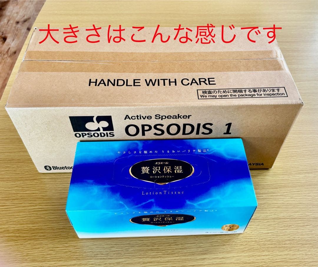 一般販売未定の鹿島建設 OPSODIS１