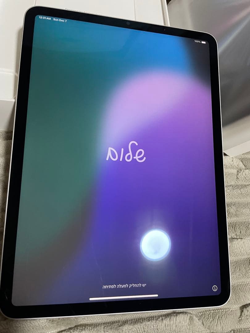 iPad Pro 11インチ 第3世代 256GB