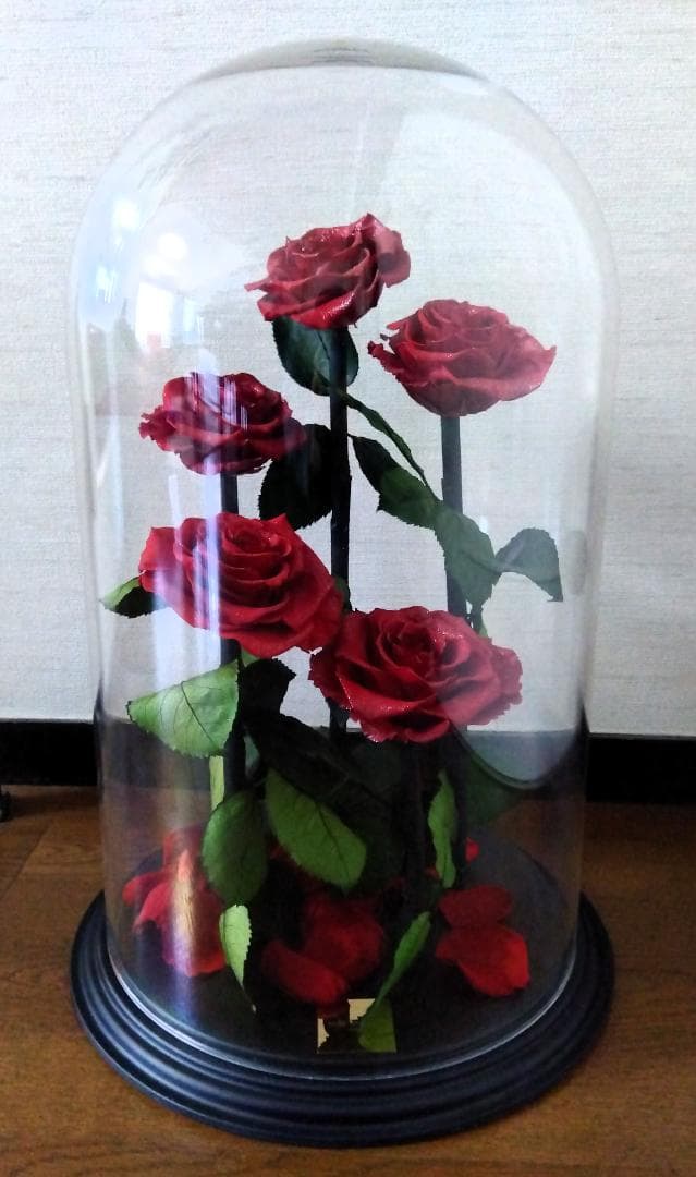 ROSE GALLERY 銀座 プリザーブドローズ(5本立ち) ドームケース付き