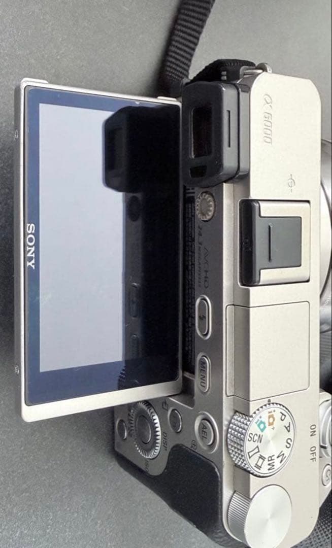 げ*い様 SONY α6000 ミラーレス一眼 Eレンズ付き