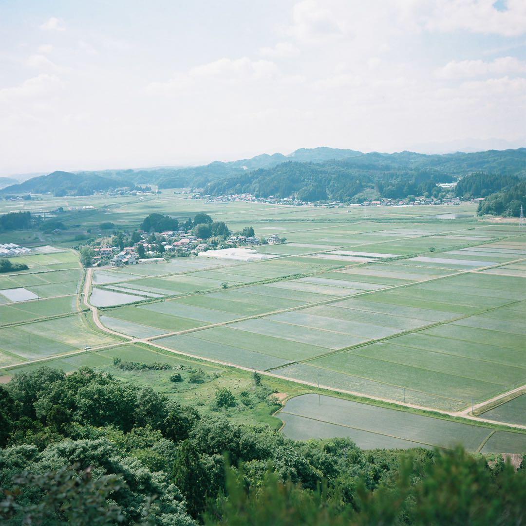 完動品◎Minolta AUTOCORD ミノルタ 二眼レフ フィルムカメラ