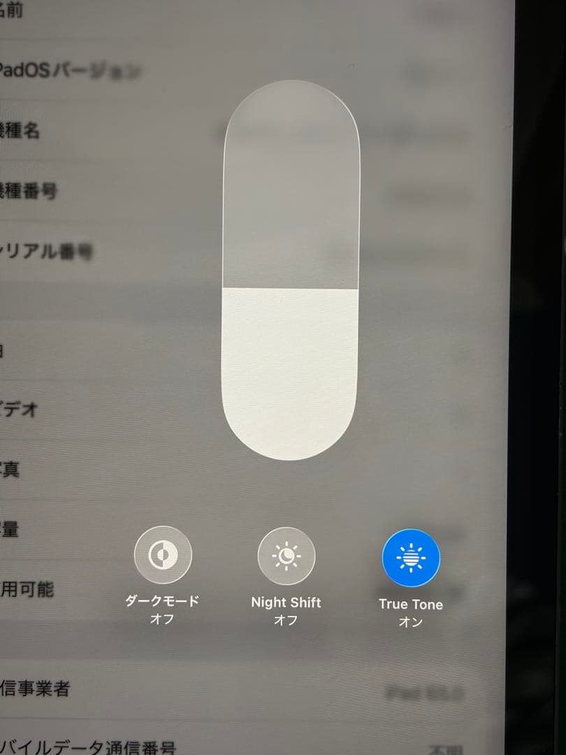0118 IPA PRO 11 インチ第二世代512GB SIMフリー