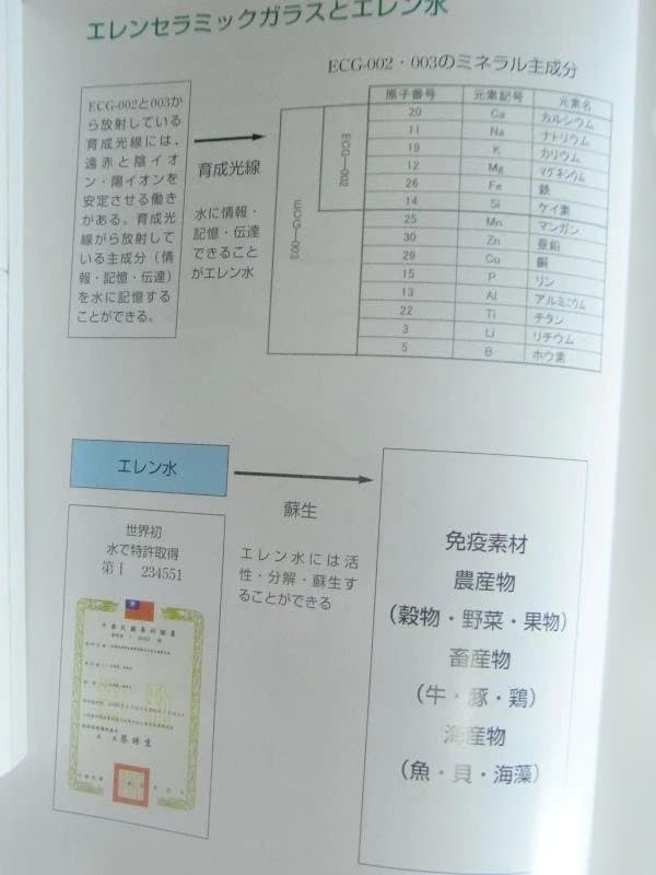 エレン関連の唯一の書籍　21世紀の生命の水・エレン酵生水 現在入手困難