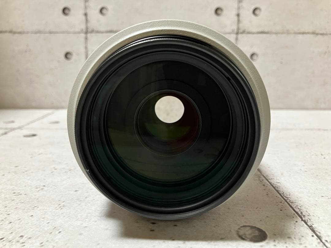 Canon EF 70-300mm f/4-5.6L IS USM フード付美品