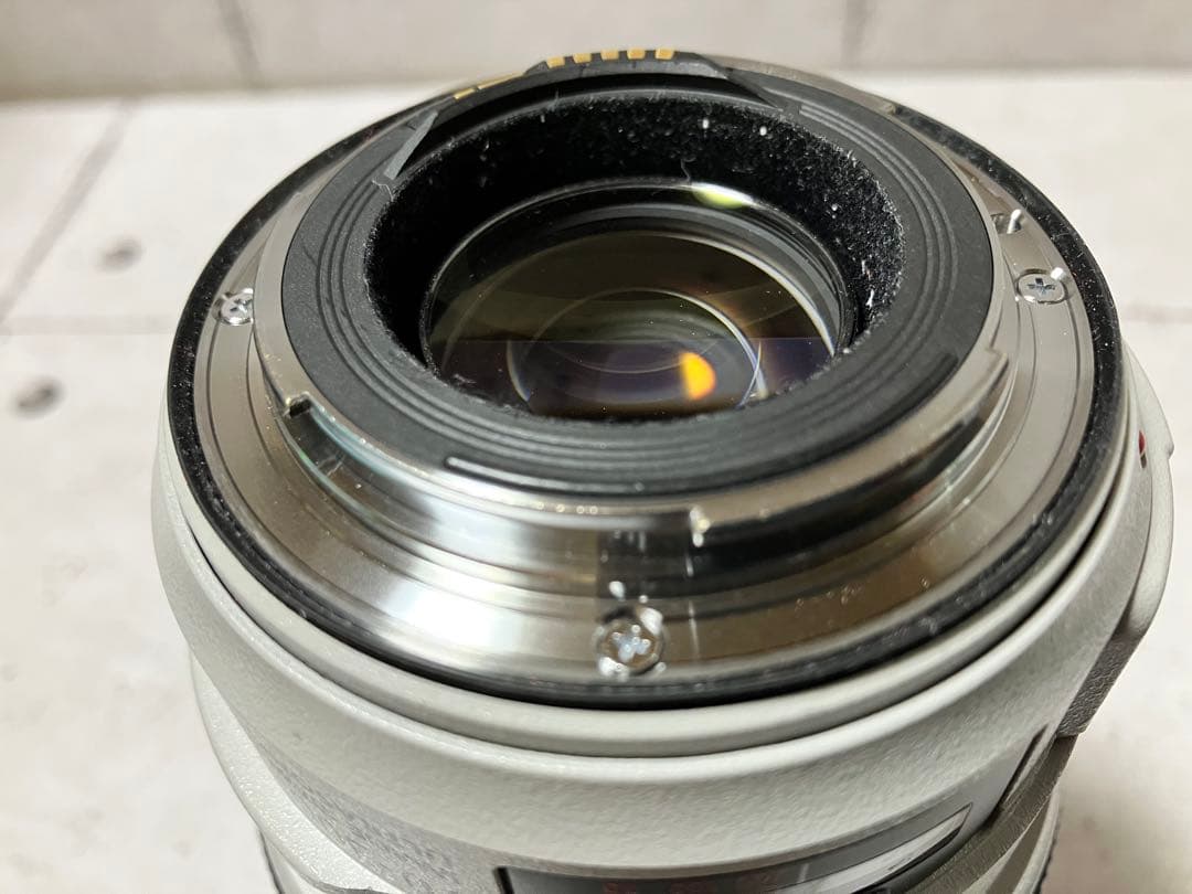 Canon EF 70-300mm f/4-5.6L IS USM フード付美品