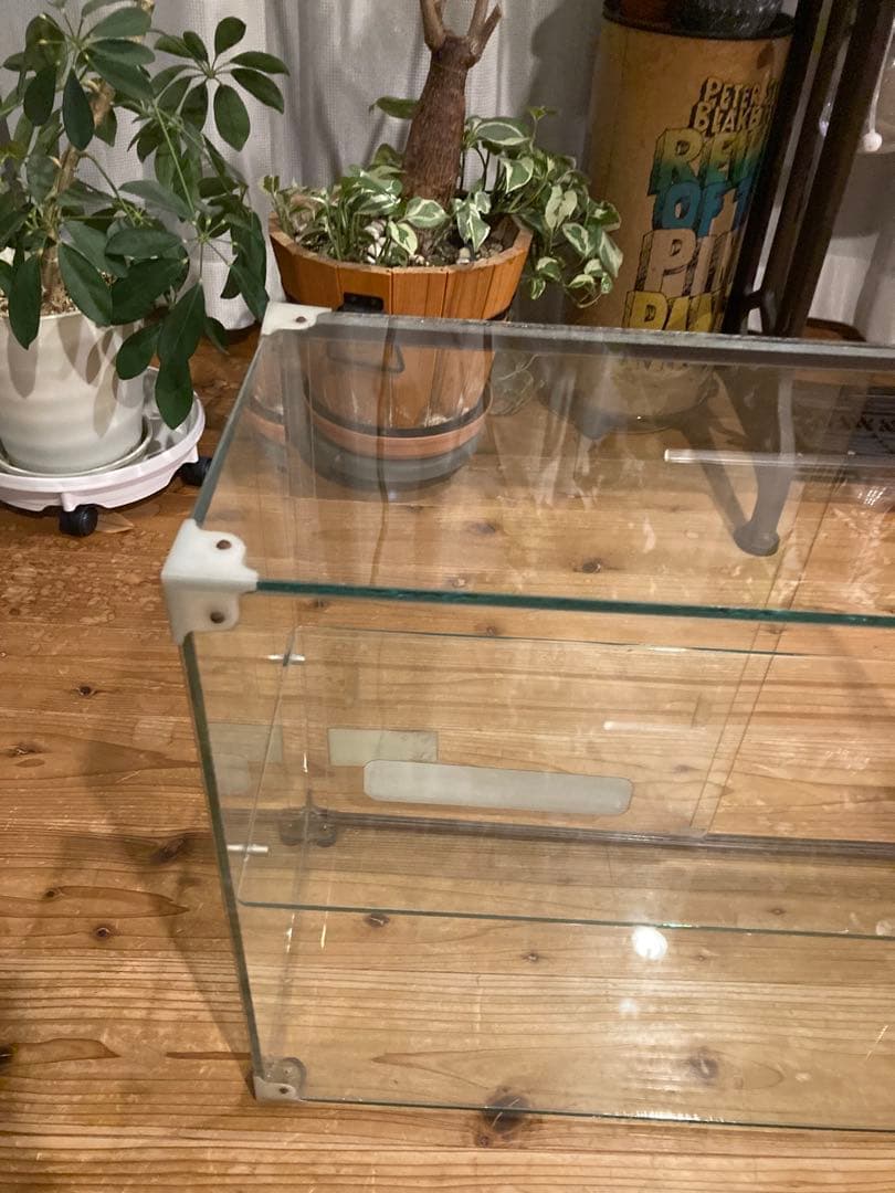 昭和レトロ　ガラスショーケース中棚1段　やまさ製茶　背面引戸