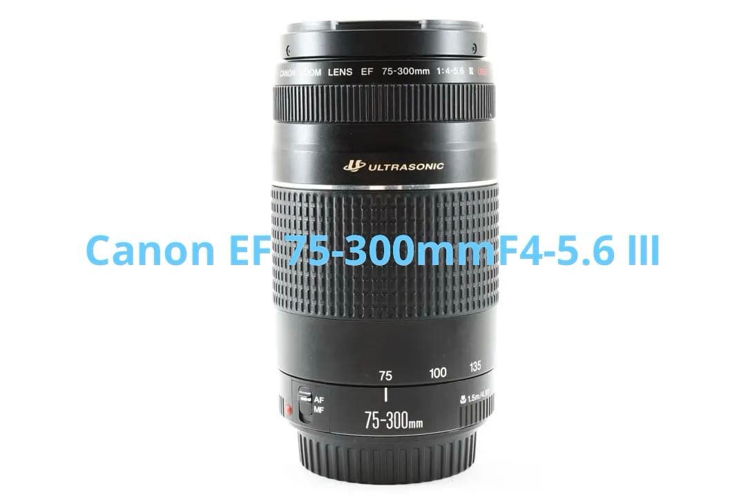 超望遠レンズ300㎜ Canon EF 75-300mmF4-5.6 Ⅲ USM
